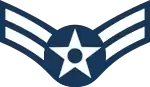 A1C insignia