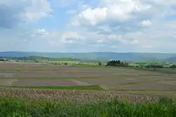 Countryside just east of Shoaf