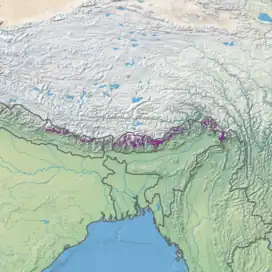 Eastern Himalayan subalpine conifer forests