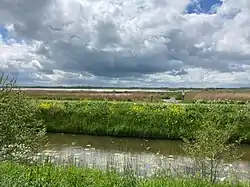 Landscape near Eelderwolde