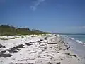 Looking north along eastern beach of Egmont Key.