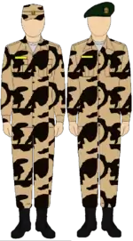 Egyptian Army Thunderbolt camouflage uniform