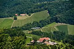 View from the observation tower Kreuzbergwarte (Eichberg-Trautenburg) on Hoehenweg-Karnerberg at Kranach