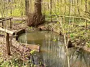 Historical bath place Teufelsbad (also called Kopperloch) near Heiliger's well