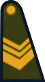 Cabo primero(Argentine Army)