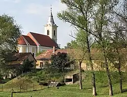 Roman Catholic church