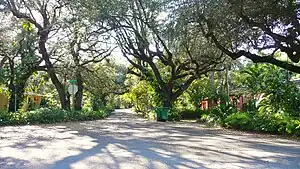 Typical street in El Portal