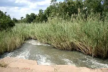 The Elands just upstream of Rust de Winter Dam