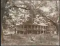 Elmwood Plantation of Louisiana as photographed in 1926, which was subsequently destroyed by fire