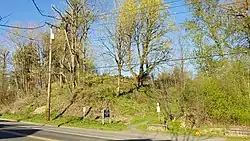 The edge of Errol Heights Park, next to a road