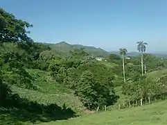 View of the Escambray Mountains north side from the village.