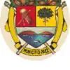 Official seal of Páez Municipality