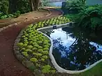 The trail winding through the botanical displays of indigenous and contemporary plants