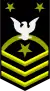 Fleet Master Chief Petty Officer / Force Master Chief Petty Officer