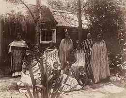 Māori whānau from Rotorua in the 1880s