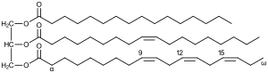 Triglyceride