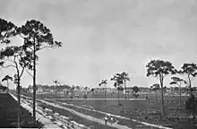 A field recently excavated and cleared with a few slash pine trees, and recently dug canals and new dirt roads; some structures also dot the background