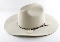 Cowboy hat, sometimes "ten gallon hat"