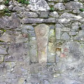 Sheela-na-gig at Augustinian Abbey in Fethard