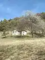 Mount Camiolo di Fondo, barn known as Massa dei Bernàrc