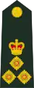 Brigadier(Fiji Infantry Regiment)