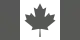 Low visibility tactical grey fin flash used by Air Command/current RCAF