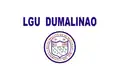 Flag of Dumalinao