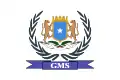 One of flag version of Galmudug (14 August 2006 – 3 February 2009)