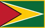 Presidential Standard of Guyana (1999–2011) under President Bharrat Jagdeo.