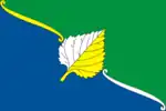 Flag of Marfino District