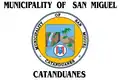 Flag of San Miguel