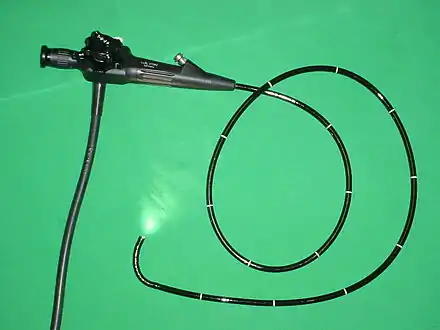 Flexible Endoscope