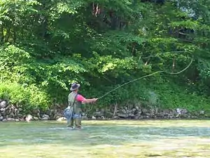 Fly fishing in a river