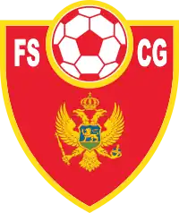 Shirt badge/Association crest