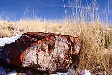 End-on view of a large reddish log in an eroded landscape