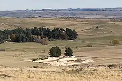 Foulden Maar pit as seen from Moonlight Road