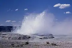 Geyser erupts up and blows sideways from a pool.