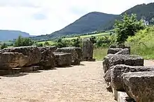 Color photograph of stone blocks lined up in two rows on the ground.