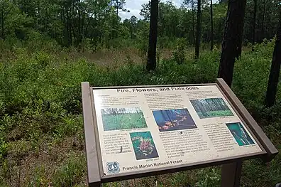 Information in Palmetto Trail.