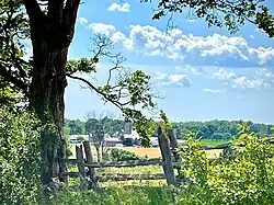 Freelton Farm, looking west on Concession Road 8 East.