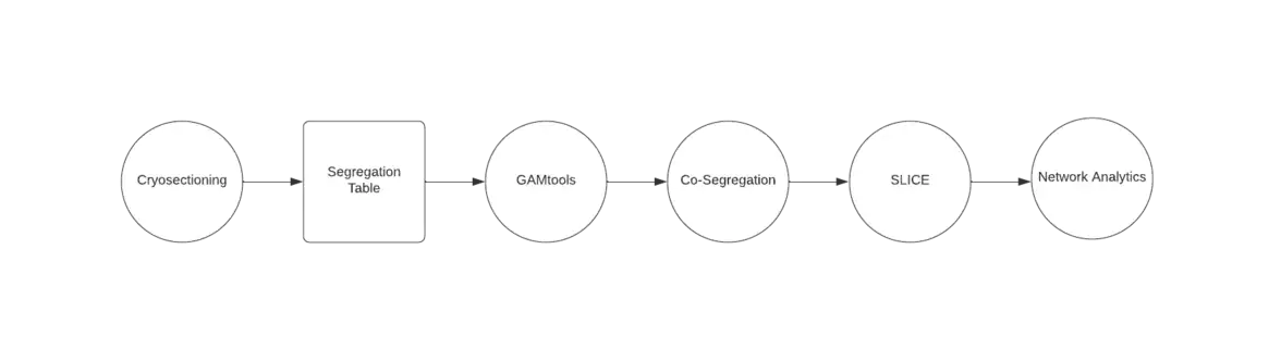 flowchart showing a general process of GAM data analysis.  Circles represent a process and squares represent data.