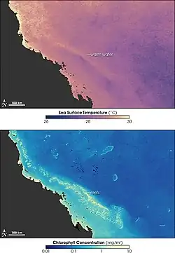 Image 37Sea temperature and bleaching of the Great Barrier Reef (from Environmental threats to the Great Barrier Reef)