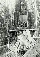 Jesse Pattee, a renowned logger, is the first man on the left.