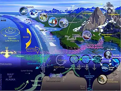 Image 1General characteristics of a large marine ecosystem (Gulf of Alaska) (from Marine ecosystem)