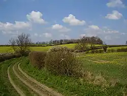 Loveden Hill, alleged meeting place of the wapentake