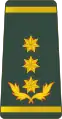 გენერალ ლეიტენანტიGeneral leit’enant’i(Georgian Land Forces)