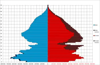 Population pyramid in 1946