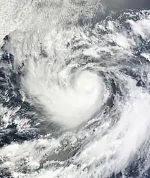 A visible satellite image of a small hurricane in the open Pacific.