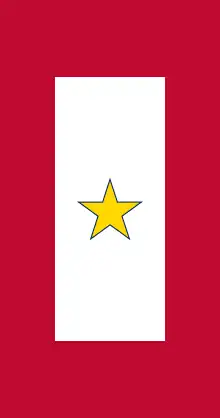 Gold Star Service Banner