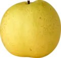 Whole Golden Asian Pear